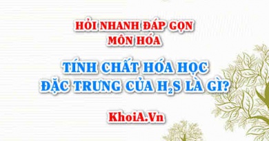 Tính chất hóa học đặc trưng của H2S Hidro sunfua là gì? Hỏi nhanh đáp gọn môn Hóa